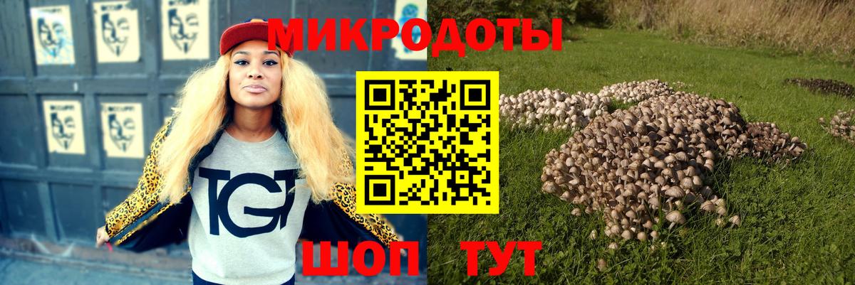 Галлюциногенные грибы прущие грибы  Галлюциногенные грибы мицелий  Вход с VPN  Берёзовский 